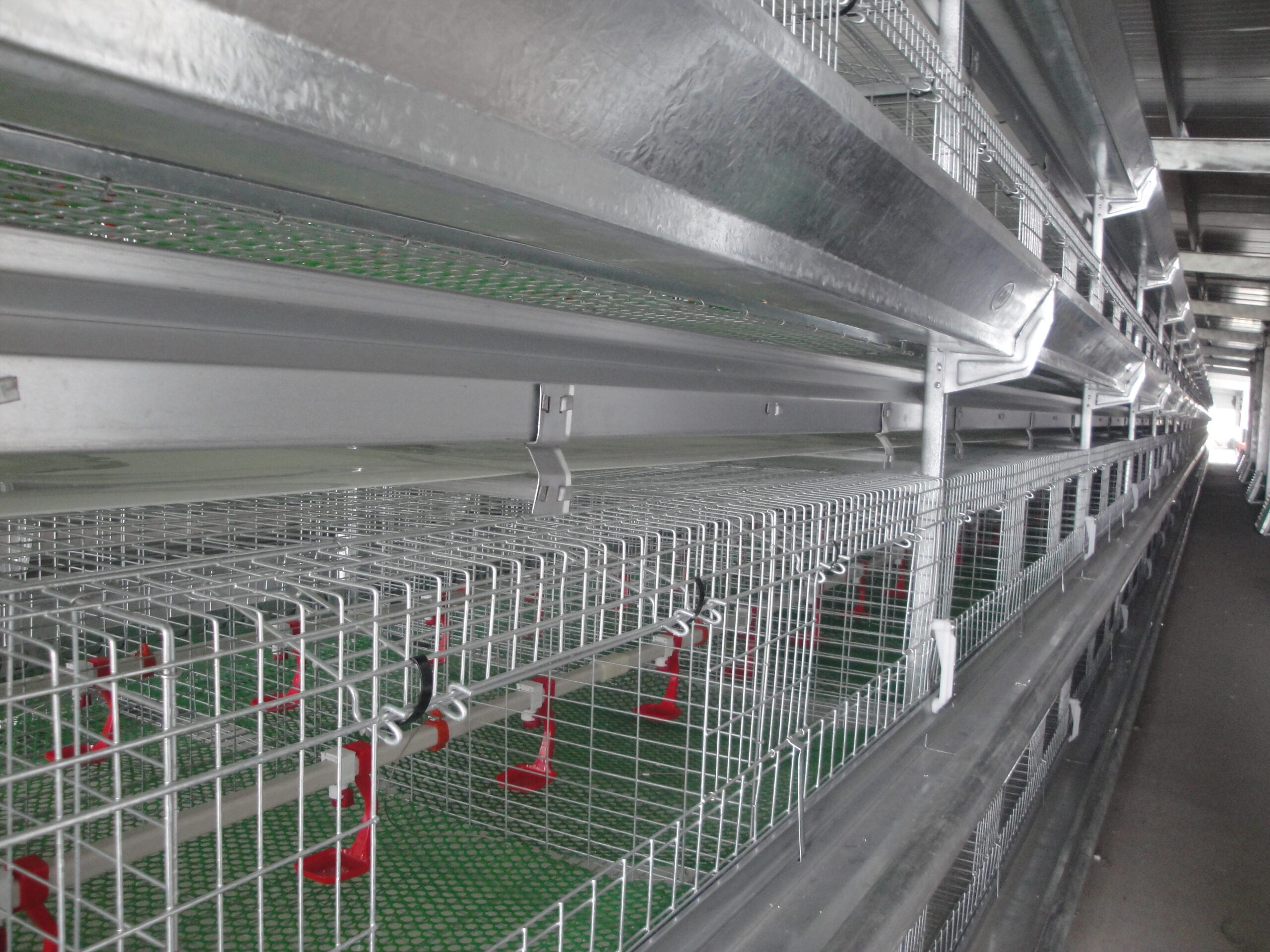 brooding equipment - Guangzhou Zhongge Electromechanical Equipment Co ...